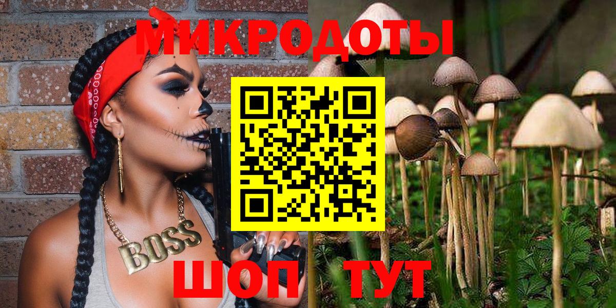 Псилоцибиновые грибы GOLDEN TEACHER  Вход с VPN  Псилоцибиновые грибы ЛСД  Чистополь 